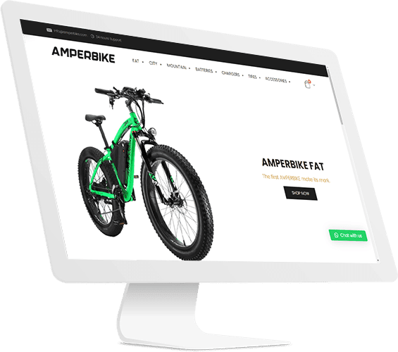 Ecommerce Website