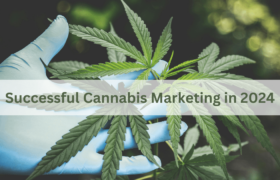 Cannabis Marketing in 2024: 12 Strategies for Success