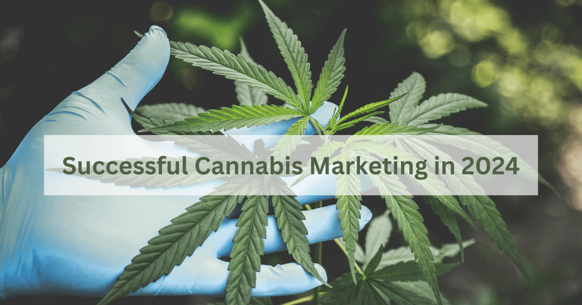 Successful Cannabis Marketing in 2024 text